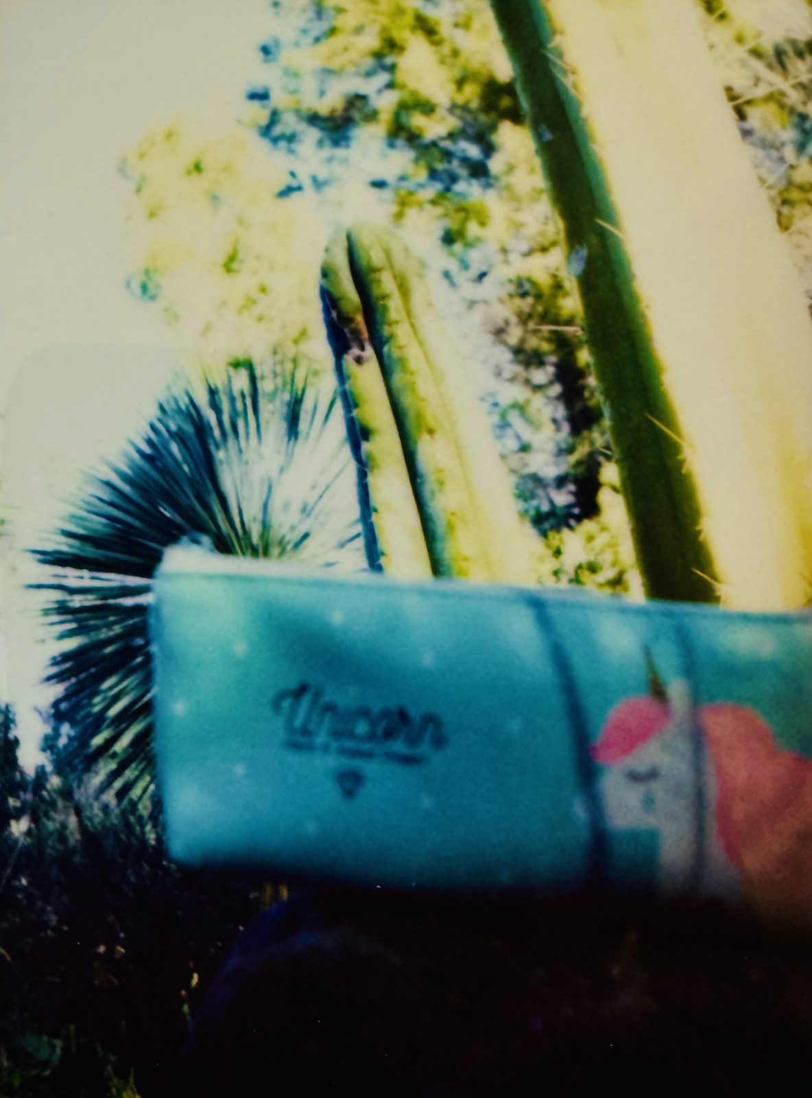 Unicorn bag held up in front of cactus and palm leaves